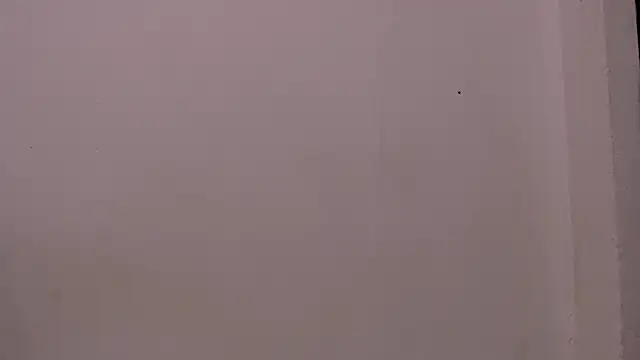 Jose Smoke online show from 11-17-25, 02:50