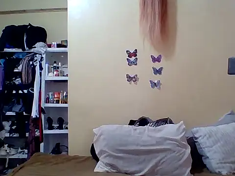 Zara Twilight online show from 01-11-26, 11:26