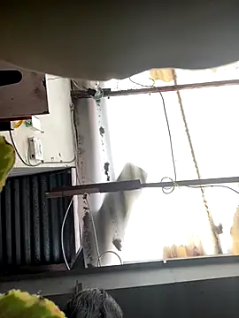 Snapshot of luna_asss chatting on 10-25-25, 07:30 luna asss online show from 10-25-25, 07:30