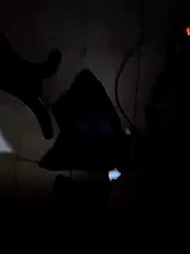 everyoneneeds online show from 12-26-24, 07:03