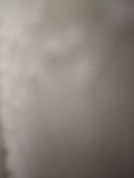 indianbull3684 online show from 12-11-24, 08:07