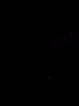 StaciGoodman online show from 02-01-25, 01:44