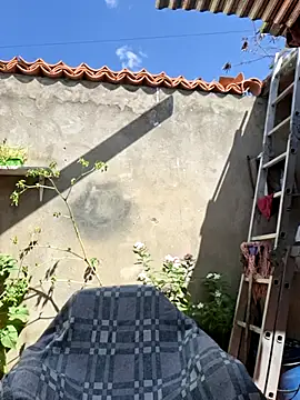 room 24funn online show from 11-14-25, 03:00