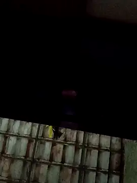 dantaradinho online show from 01-31-25, 04:47