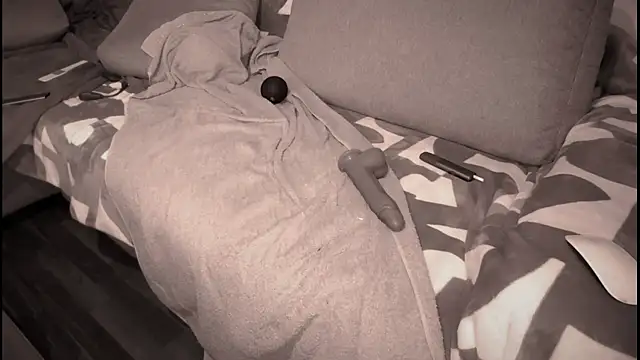 Snapshot of swissMen_DE chatting on 03-02-25, 05:54 swissMen DE online show from 03-02-25, 05:54