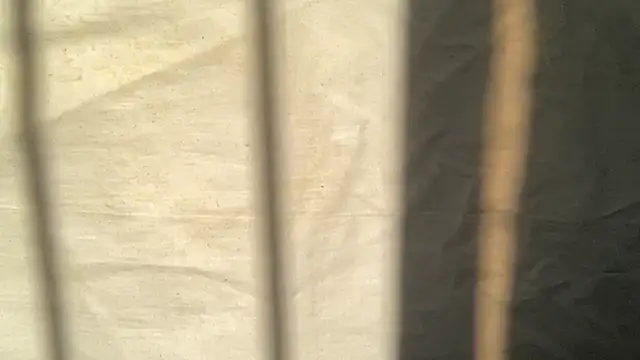 Snapshot of beforeyou69 chatting on 11-06-25, 08:04 beforeyou69 online show from 11-06-25, 08:04