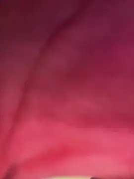 Snapshot of izanmiller2001 chatting on 10-08-25, 07:33 izanmiller2001 online show from 10-08-25, 07:33