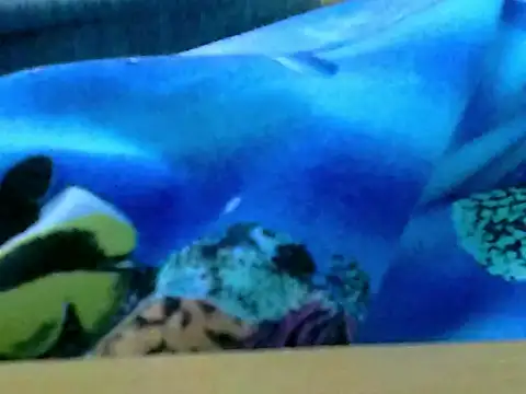 Snapshot of zhan7965 chatting on 12-30-24, 01:03 zhan7965 online show from 12-30-24, 01:03