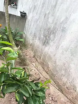 king cum  online show from 02-18-26, 02:24