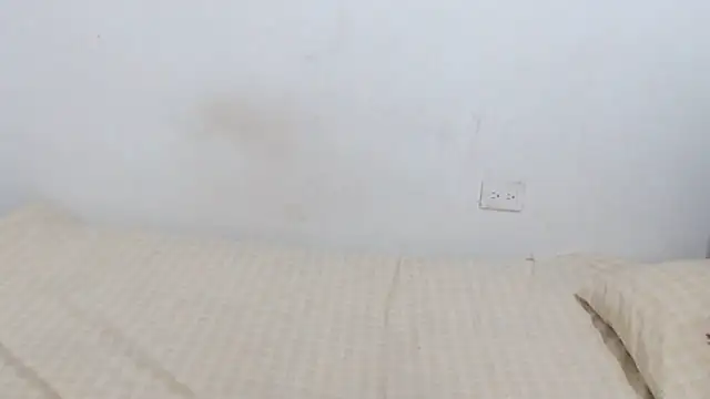 Snapshot of Adara_cooper22 chatting on 11-02-25, 01:57 Adara cooper22 online show from 11-02-25, 01:57