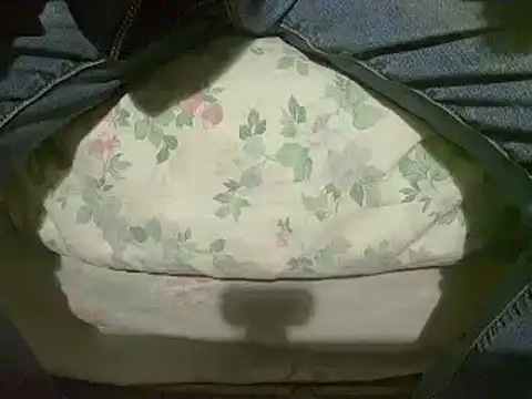 Tiger202441 online show from 01-12-25, 04:08