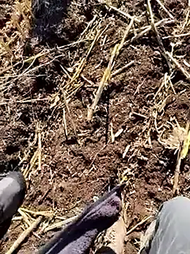 murokkk31 online show from 12-18-25, 09:37