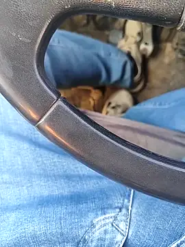 murokkk31 online show from 01-08-26, 08:27