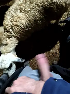 murokkk31 online show from 01-09-26, 11:28