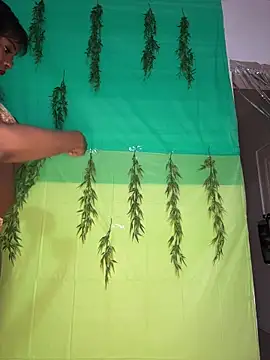 Blazerina online show from 04-17-26, 12:13