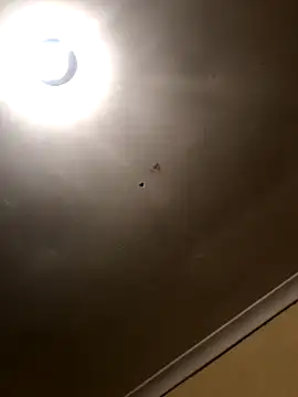 Snapshot of SmallGoodNut chatting on 11-15-25, 04:10 SmallGoodNut online show from 11-15-25, 04:10