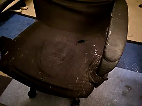 Migaruo online show from 04-19-26, 04:56