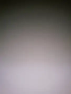 Dorset8360 online show from 01-10-25, 05:02