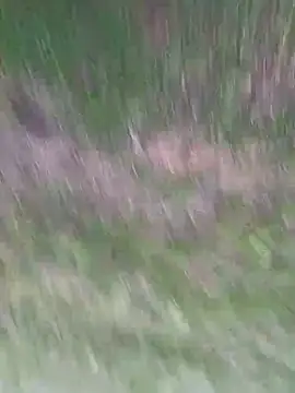 Vanesskaa online show from 04-01-26, 03:09