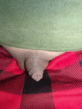 Snapshot of publicsir chatting on 03-02-26, 03:30 publicsir online show from 03-02-26, 03:30