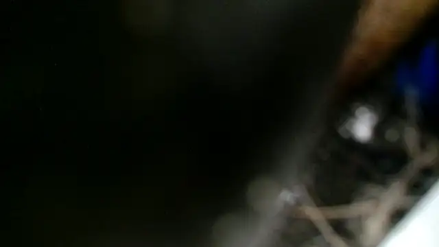 Gigadickman online show from 12-02-24, 11:40