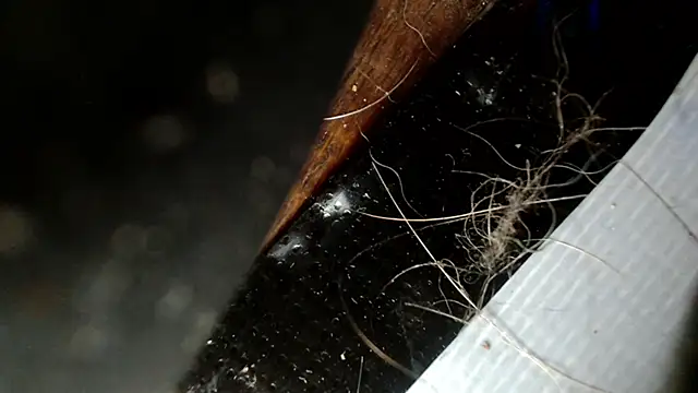 Gigadickman online show from 12-03-24, 02:47