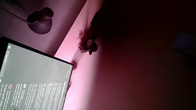 Gigadickman online show from 12-13-24, 06:00