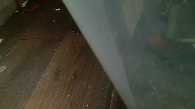 Gigadickman online show from 02-27-25, 04:31