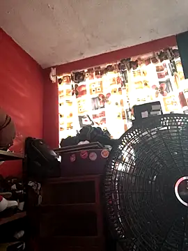 VL25DN26 online show from 11-07-25, 04:51