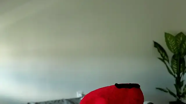 Sapphir3xoxo online show from 09-24-25, 03:15