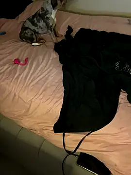 Snapshot of UKSYDNEYFOX chatting on 10-14-25, 01:06 UKSYDNEYFOX online show from 10-14-25, 01:06