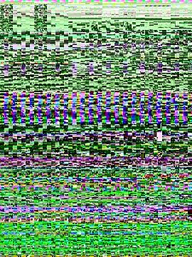 -SHINON- online show from 11-09-25, 11:52