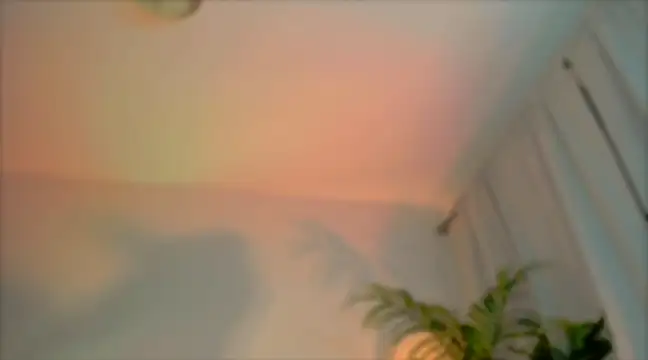 Snapshot of _cherry_bloss_ chatting on 03-04-25, 12:29 cherry bloss online show from 03-04-25, 12:29