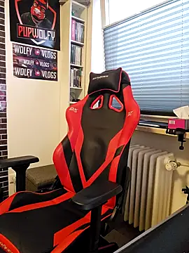 PupW0lfy online show from 01-28-25, 03:14