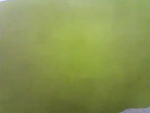 Snapshot of Claris2 chatting on 01-21-25, 06:34 Claris2 online show from 01-21-25, 06:34