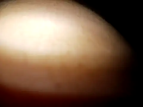 Cheny26 online show from 04-08-26, 03:39