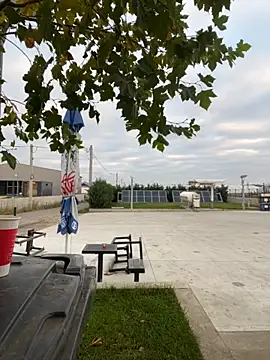 baramadalin online show from 11-06-25, 05:30