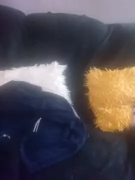 amarrabrown2024 online show from 03-17-25, 07:13