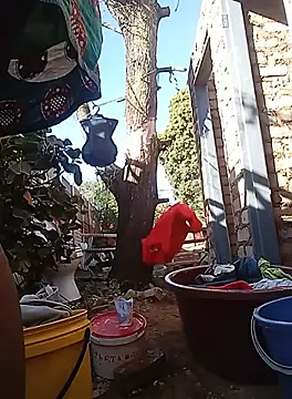 amarrabrown2024 online show from 09-19-25, 06:04