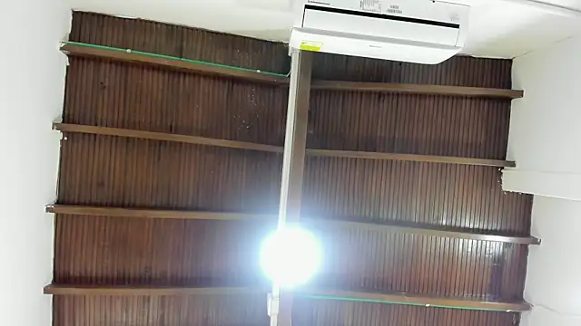 karina mason online show from 11-20-25, 12:38