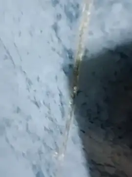 Snapshot of Chancho141414 chatting on 10-18-25, 02:03 Chancho141414 online show from 10-18-25, 02:03