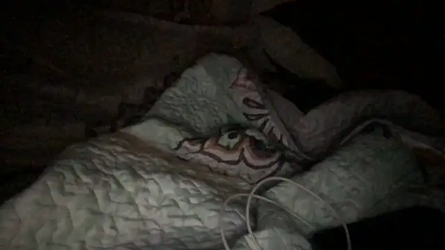 Snapshot of loveofbea chatting on 10-23-25, 05:07 loveofbea online show from 10-23-25, 05:07