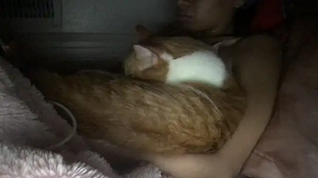 loveofbea online show from 03-08-26, 03:32