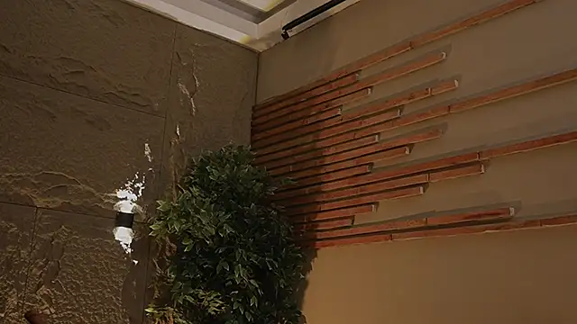 Logan Varela online show from 11-01-25, 12:56