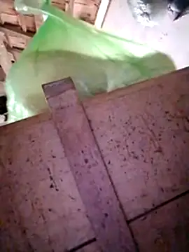 Snapshot of Hotpussy3ox chatting on 12-20-25, 03:13 Hotpussy3ox online show from 12-20-25, 03:13