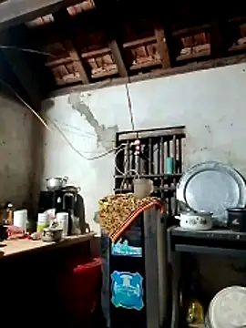 Snapshot of Hotpussy3ox chatting on 03-02-26, 10:16 Hotpussy3ox online show from 03-02-26, 10:16