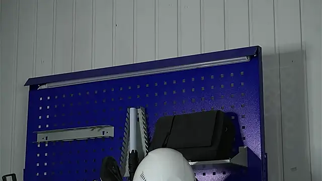 dustyn fox online show from 03-05-26, 11:39