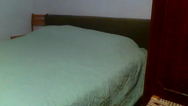 petan33 online show from 09-11-25, 06:41