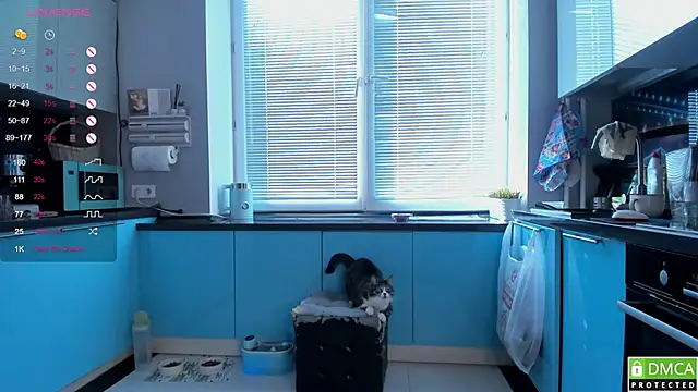 wwildfox online show from 03-16-26, 05:44