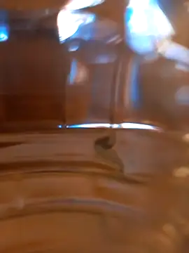 Snapshot of kx93 chatting on 10-07-25, 03:47 kx93 online show from 10-07-25, 03:47